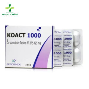thuoc-koact-1000-khang-sinh-dieu-tri-benh-nhiem-khuan