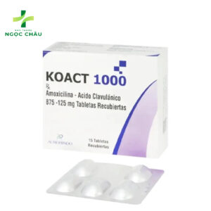 thuoc-koact-1000-khang-sinh-dieu-tri-benh-nhiem-khuan