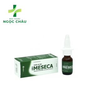 Meseca Fort