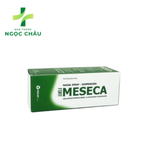 Meseca Fort