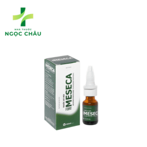 Meseca Fort