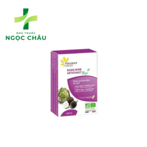 RADIS NOIR ARTICHAUT