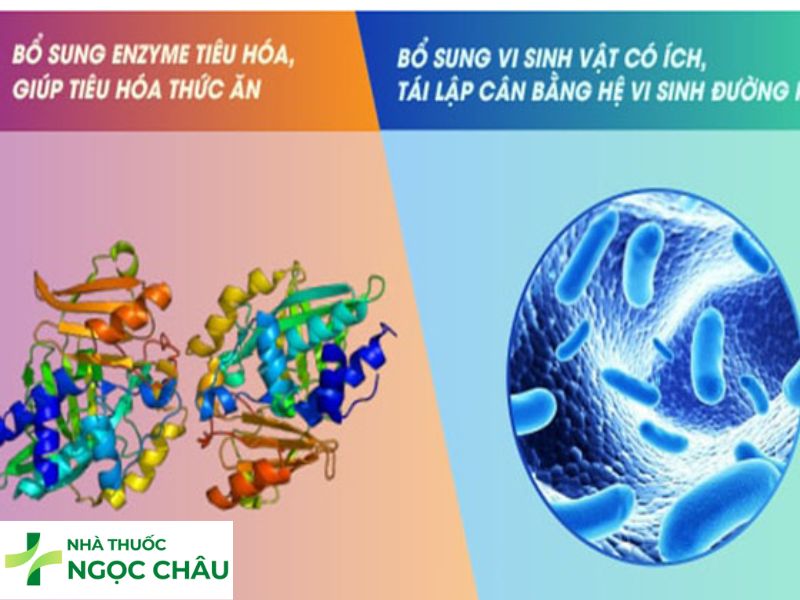 Bổ sung men vi sinh hoặc enzym tiêu hóa