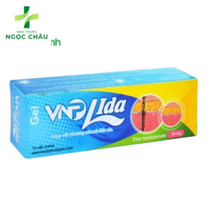 vnp-lida-tri-seo-ho-tro-dieu-tri-seo-hieu-qua-cua-hadiphar