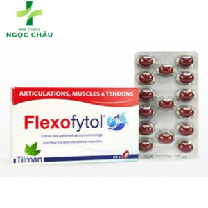 flexofytol-hop-60-vien-giup-khop-khoe-manh